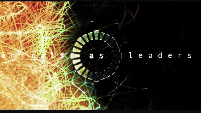 如何判断鱼缸中的硝化系统是否已经成功建立？